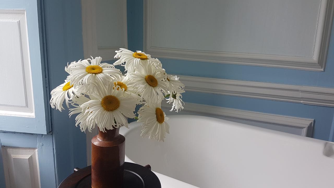 Kelly House Country B&B Lifton Dış mekan fotoğraf