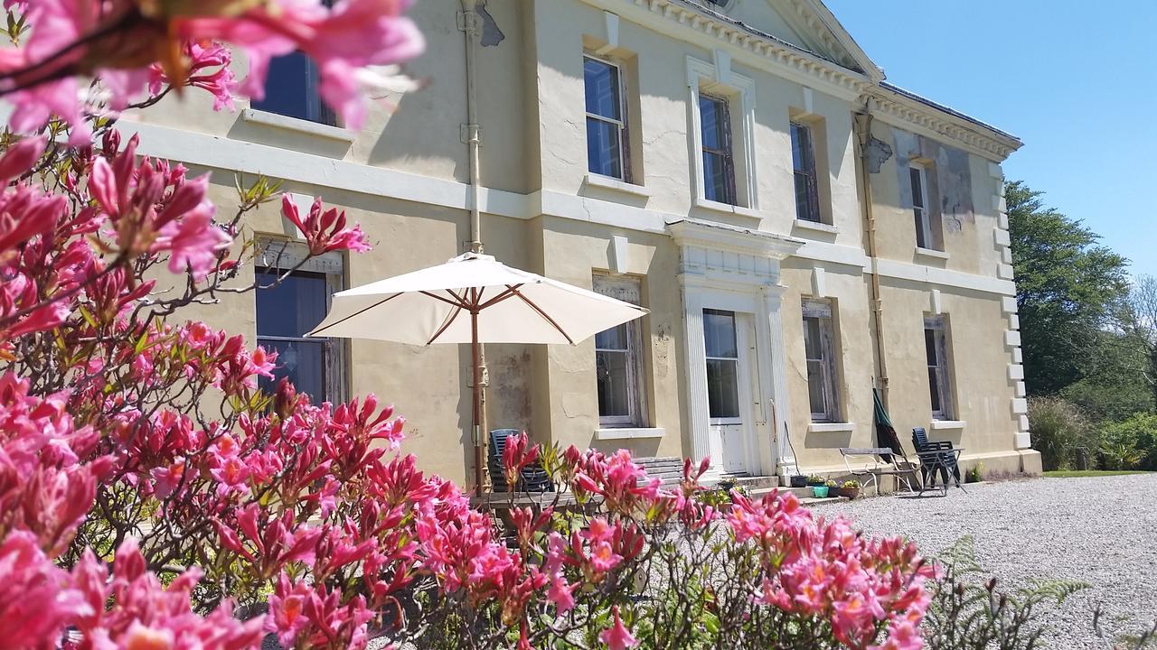 Kelly House Country B&B Lifton Dış mekan fotoğraf