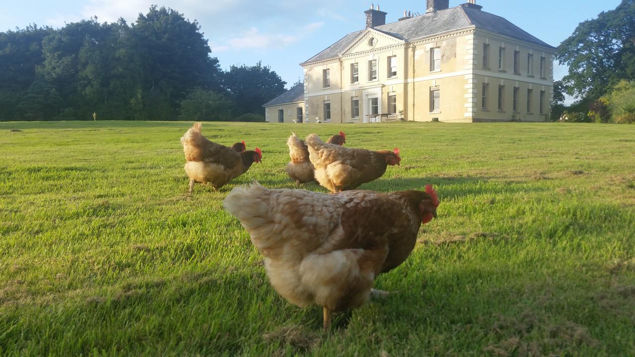 Kelly House Country B&B Lifton Dış mekan fotoğraf